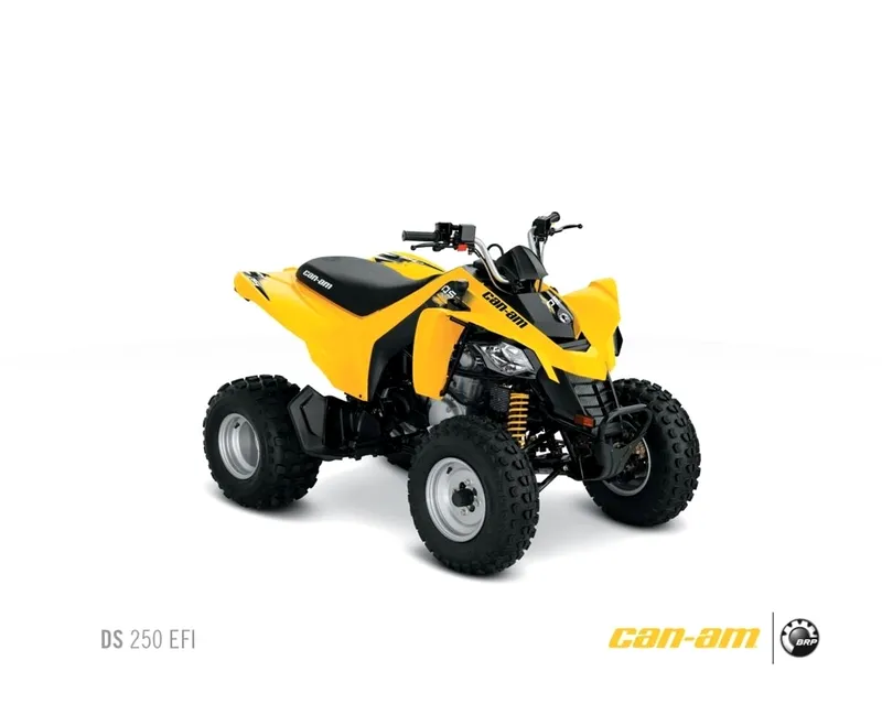 Can-am ds photo - 9