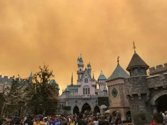 Disneyland fire photo - 1