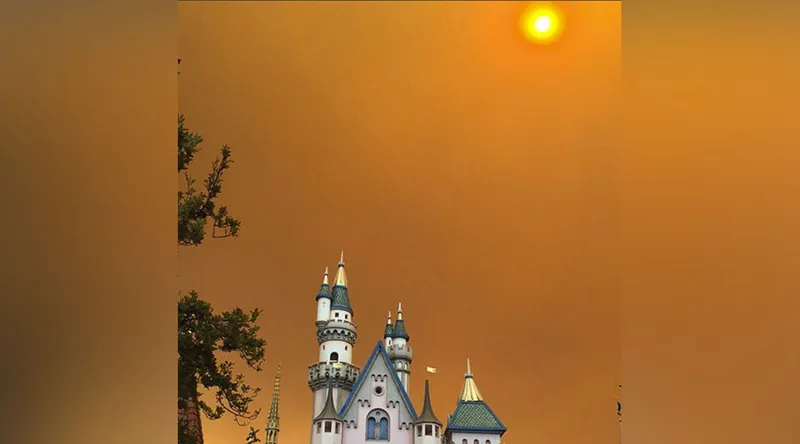 Disneyland fire photo - 5