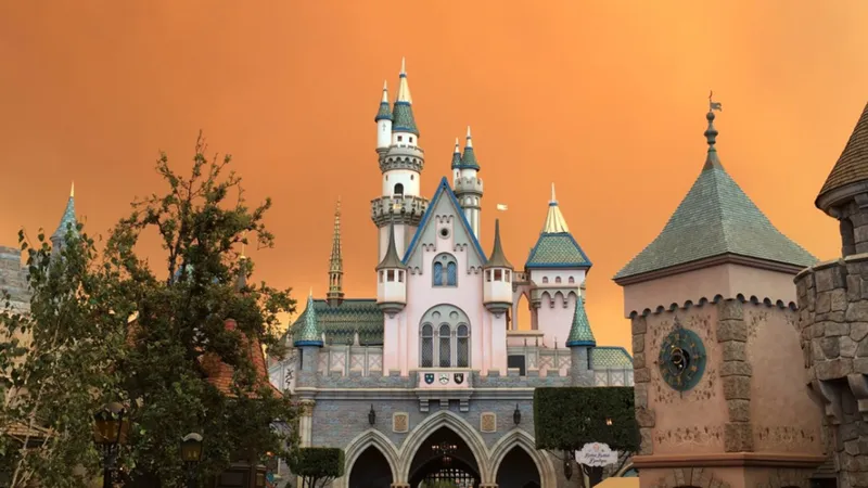 Disneyland fire photo - 7