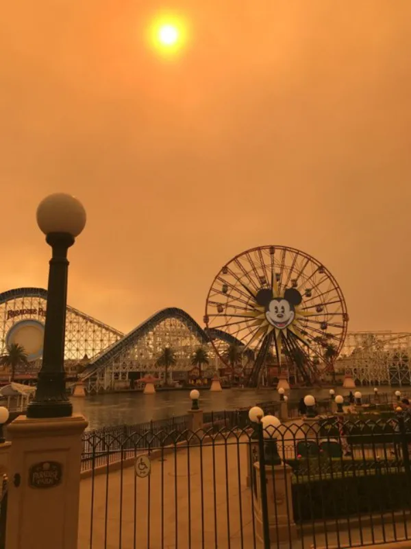 Disneyland fire photo - 9