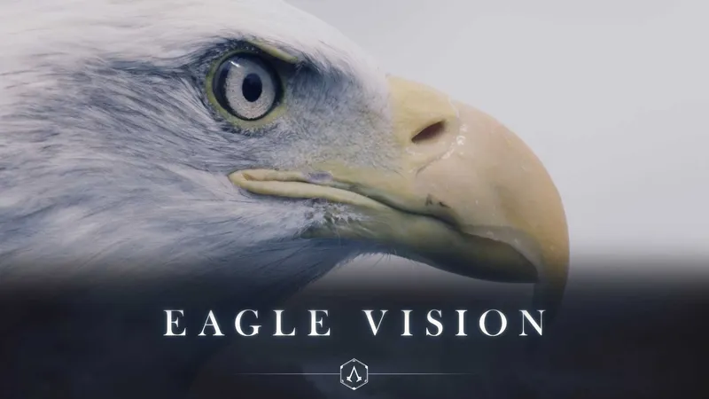 Eagle vision photo - 5