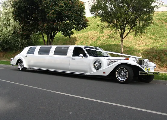 Excalibur limousine photo - 10