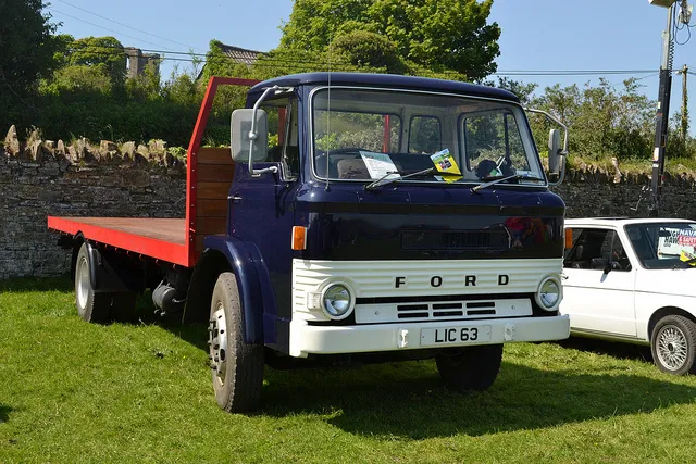 Ford d-1210 photo - 9