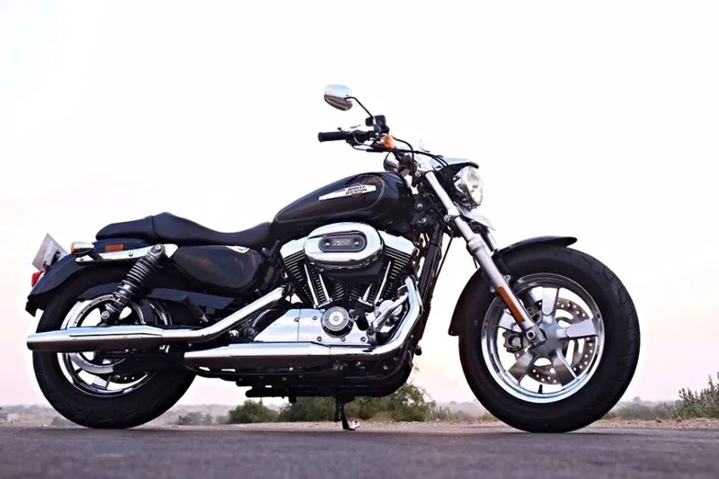 Harley-davidson 1200 photo - 2