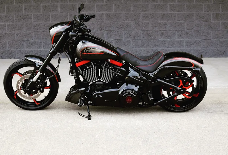 Harley-davidson custom photo - 2