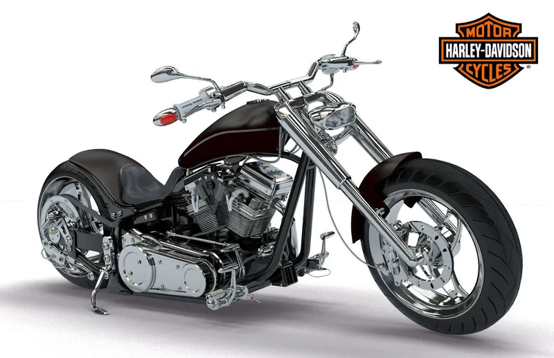 Harley-davidson custom photo - 5