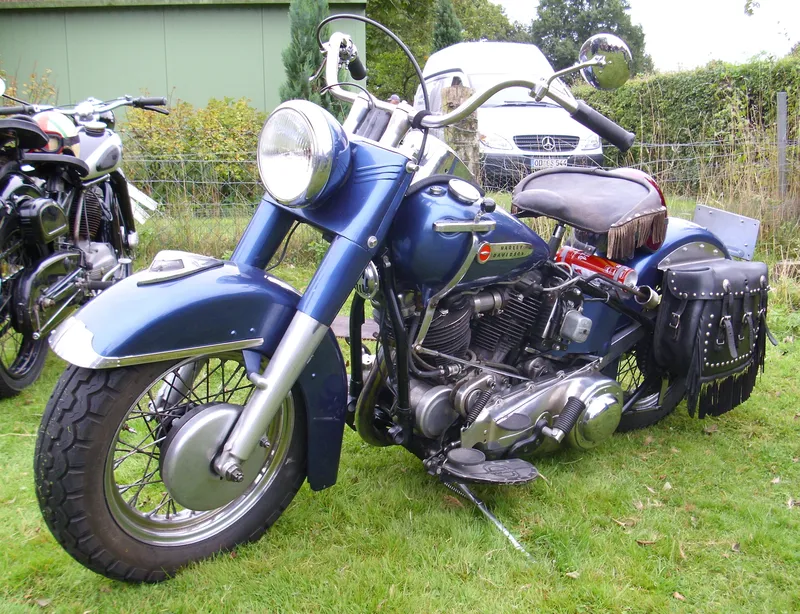 Harley-davidson hydra photo - 10