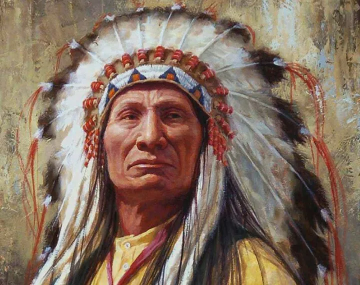 Indian chief photo - 4