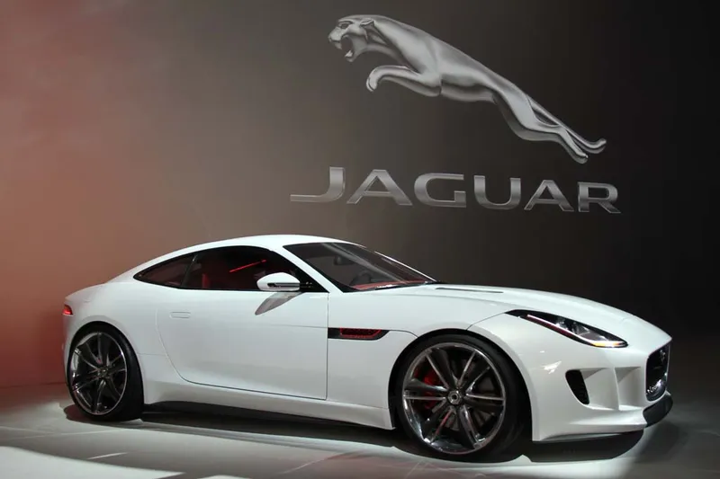 Jaguar sports photo - 2