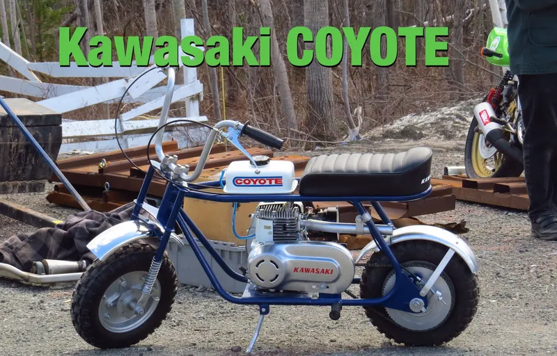 Kawasaki coyote photo - 9