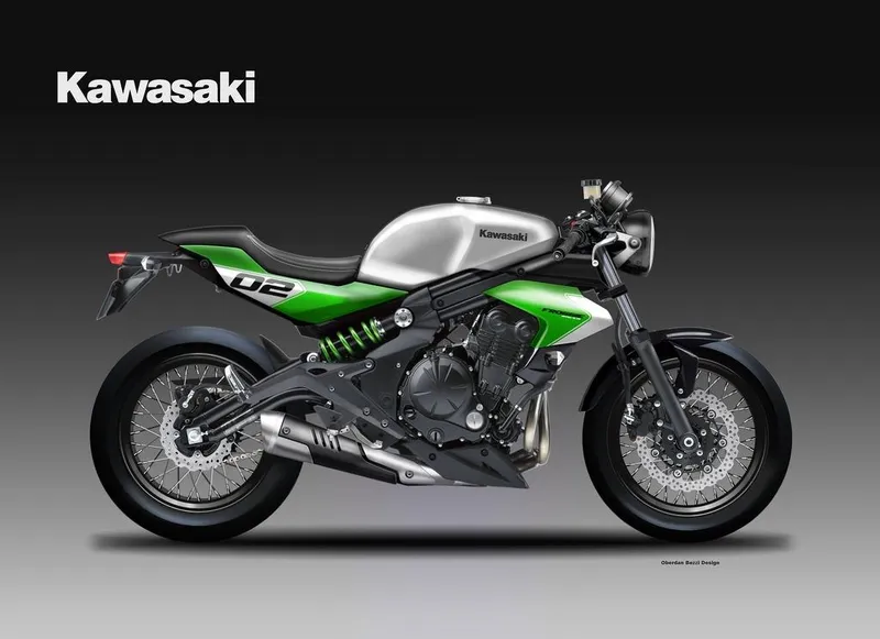 Kawasaki er photo - 9