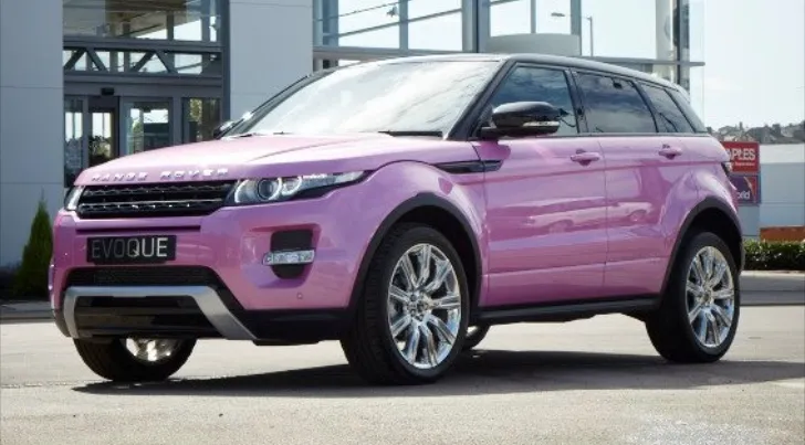 Land rover pink photo - 5