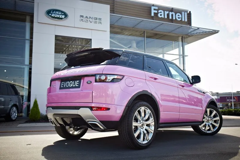 Land rover pink photo - 9