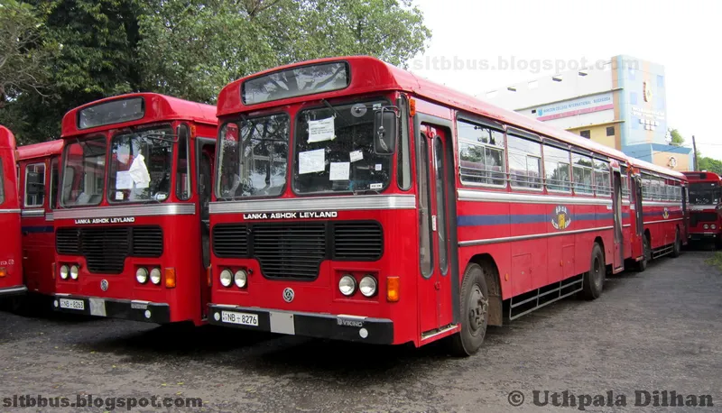 Leyland bus photo - 6
