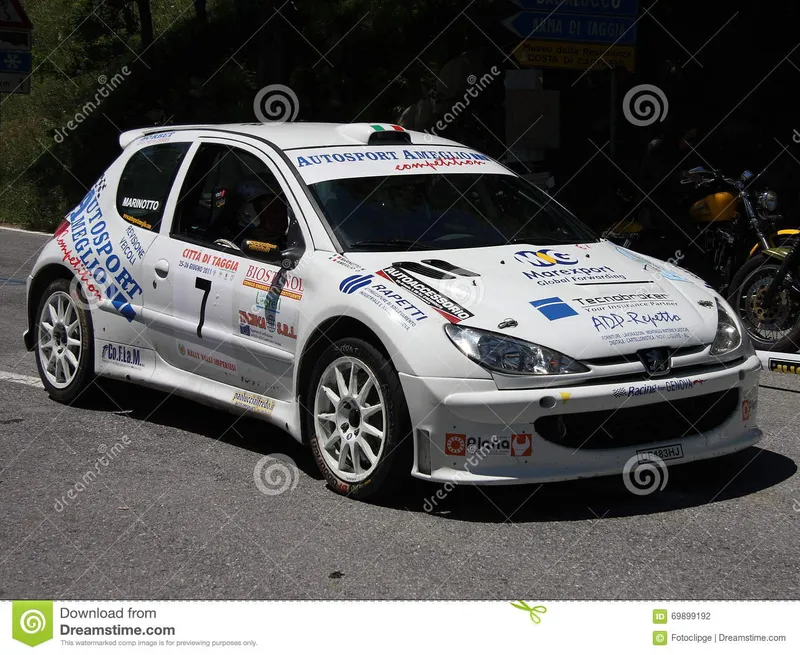 Peugeot rally photo - 6
