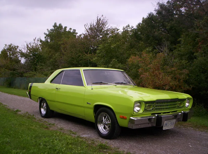 Plymouth scamp photo - 2