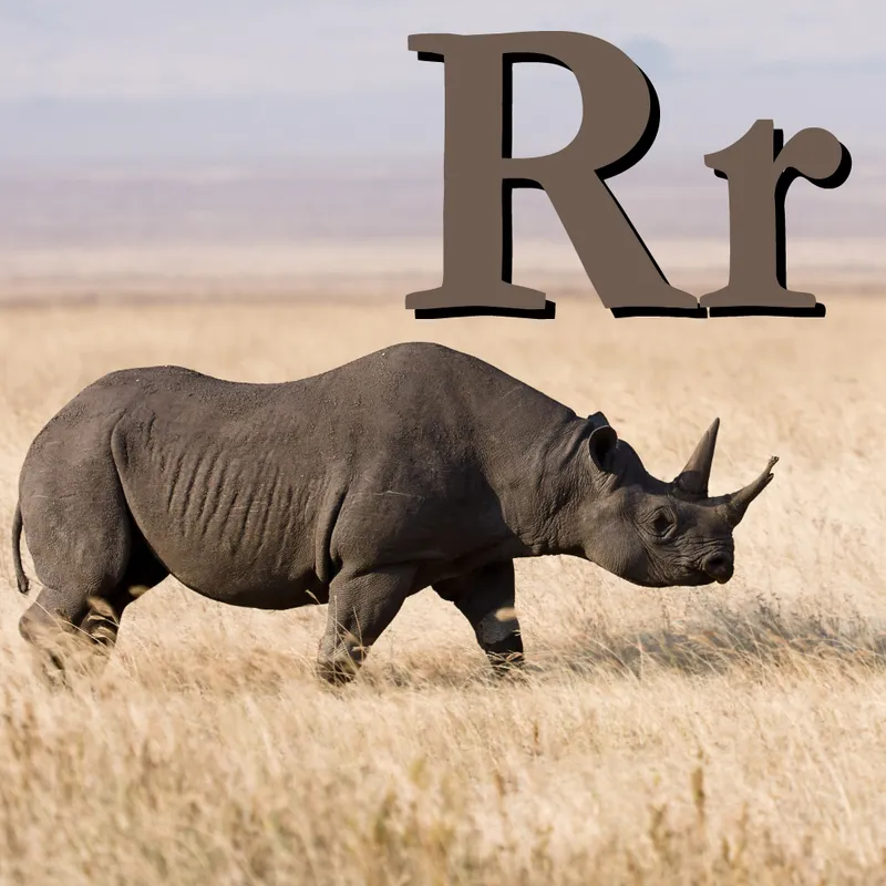 Rhino r photo - 3