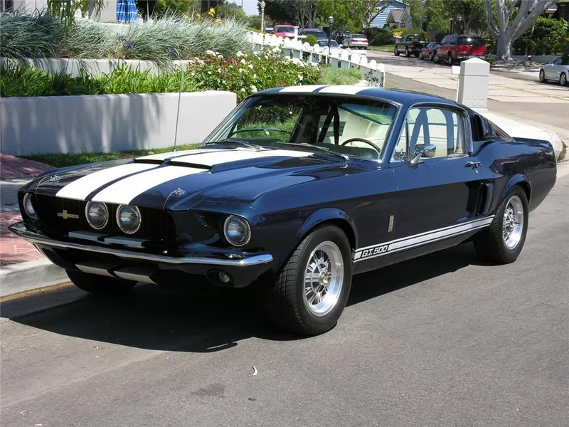 Shelby fastback photo - 10
