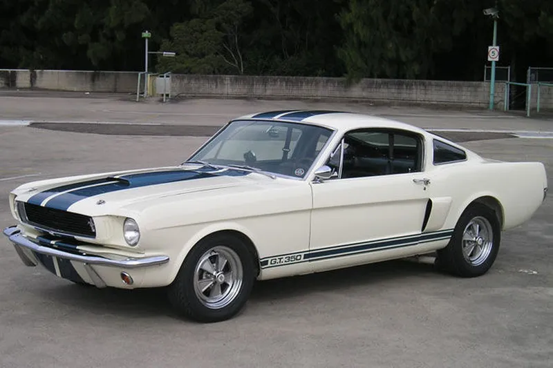 Shelby fastback photo - 3