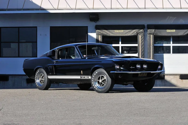 Shelby fastback photo - 5