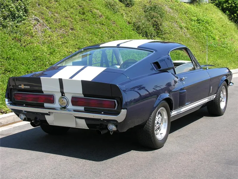 Shelby fastback photo - 6