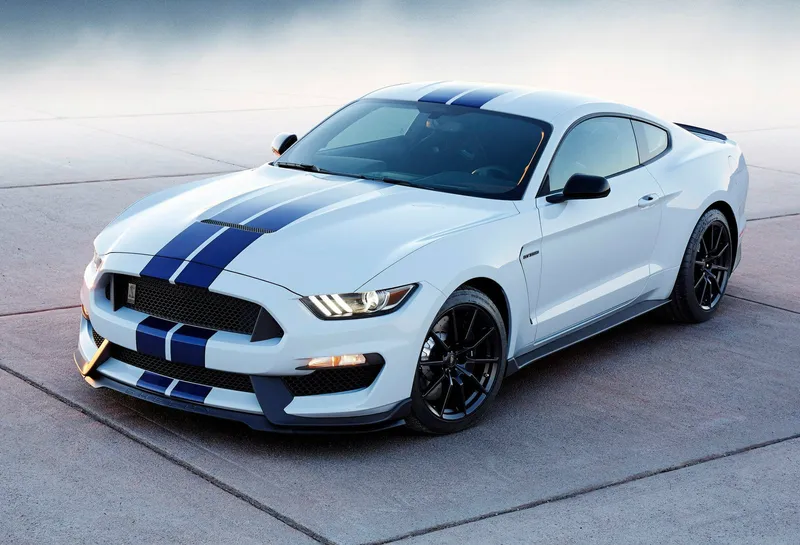 Shelby gt350 photo - 10